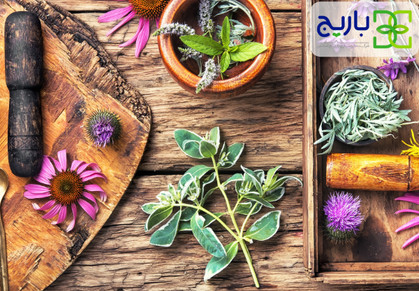 محبوب ترین گیاهان دارویی 1 محبوب ترین گیاهان دارویی 1