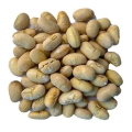 کپسول آووکوزامین 14